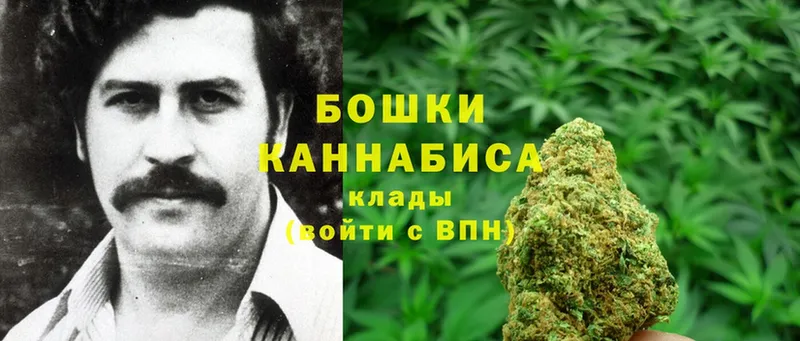 Каннабис Bruce Banner  купить  цена  Адыгейск 